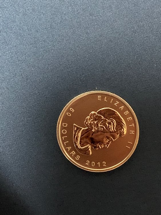 プラチナコイン（金・貴金属）の商品画像 - 査定依頼日：2023年4月28日 - 最高査定価格：140,000円