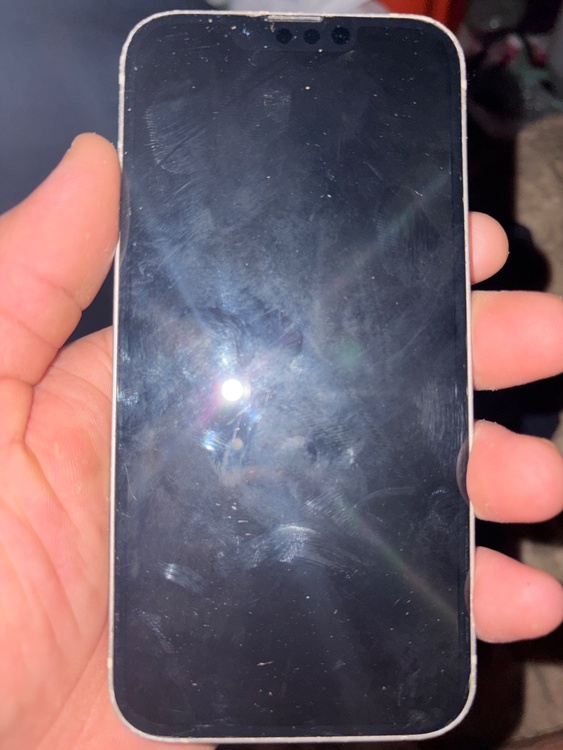 iPhone iPhone 13 128GB Softbank（スマホ）の商品画像 - 査定依頼日：2026年9月16日 - 最高査定価格：37,000円