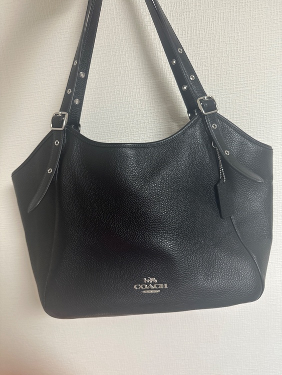 その他 コーチ （ブランドバッグ）の商品画像 - 査定依頼日：2026年2月1日 - 最高査定価格：2,000円