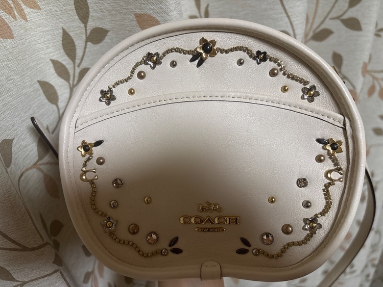 その他 コーチ （ブランドバッグ）の商品画像 - 査定依頼日：2025年6月28日 - 最高査定価格：5,000円