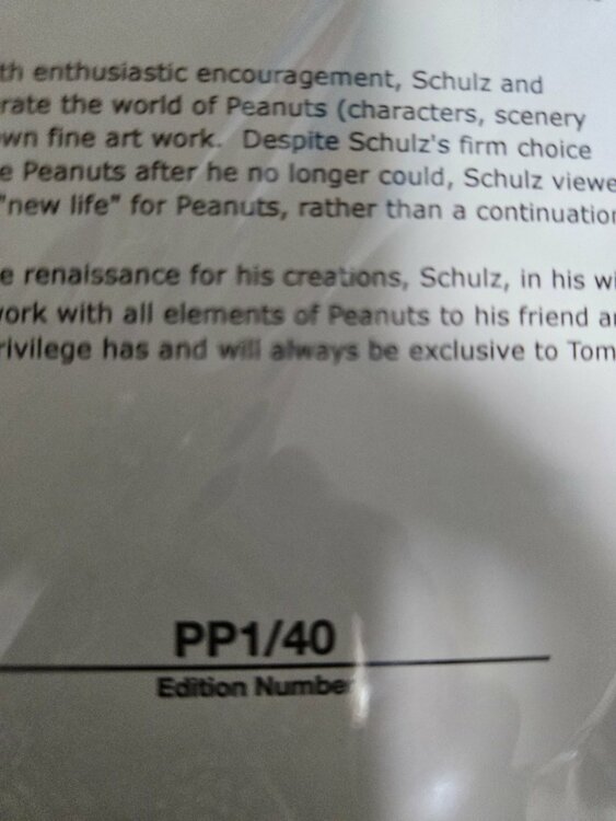 Tahitian Hip ster Ⅱ（美術品・骨董品）の商品画像 - 査定依頼日：2026年3月27日 - 最高査定価格：13,000円