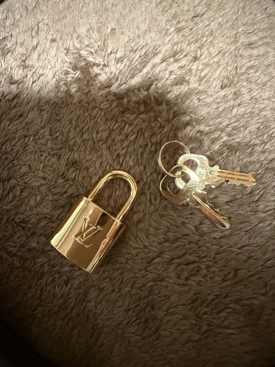 ルイヴィトン アルマ （ブランドバッグ）の商品画像 - 査定依頼日：2025年11月8日 - 最高査定価格：180,000円