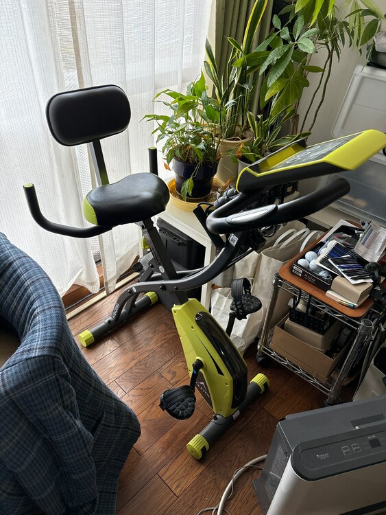 エアロバイク　ALFITS（コスメ・美容・健康器具）の商品画像 - 査定依頼日：2025年3月30日 - 最高査定価格：2,000円