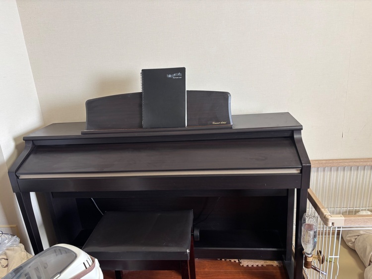 CA65R（ピアノ・楽器・PA機材）の商品画像 - 査定依頼日：2026年2月28日 - 最高査定価格：5,000円