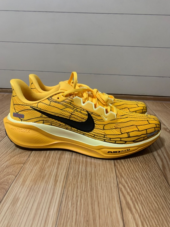 1H3257-700　エアズームペガサス 41 LV（古着・ファッション）の商品画像 - 査定依頼日：2026年3月30日 - 最高査定価格：100,000円