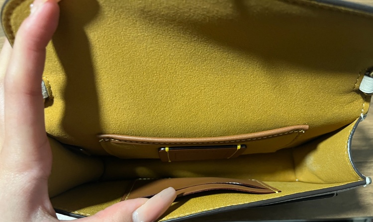 タビー チェーン クロスボディ バッグ 19（ブランドバッグ）の商品画像 - 査定依頼日：2026年3月14日 - 最高査定価格：8,000円