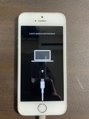 iPhoneSE 第一世代（スマホ）の商品画像 - 査定依頼日：2021年1月31日 - 最高査定価格：500円