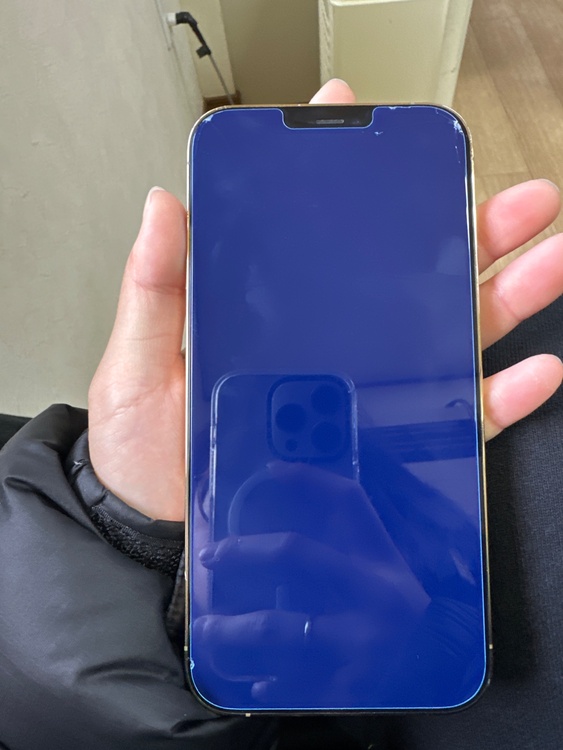 iPhone12 Pro Max（スマホ）の商品画像 - 査定依頼日：2026年3月19日 - 最高査定価格：41,000円