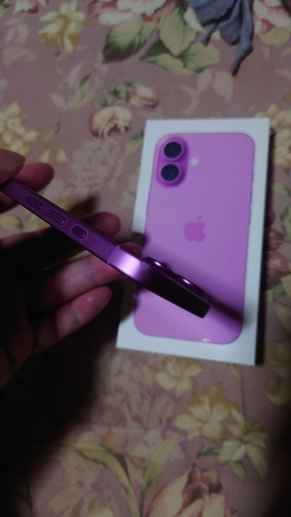 iPhone iPhone 16 256GB docomo（スマホ）の商品画像 - 査定依頼日：2026年6月19日 - 最高査定価格：77,000円