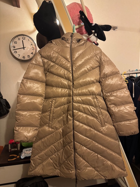 ナイロン　ダウンコート（古着・ファッション）の商品画像 - 査定依頼日：2025年12月4日 - 最高査定価格：100,000円