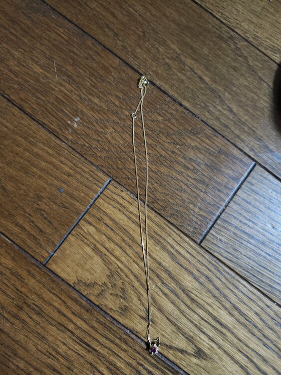 ネックレス（金・貴金属）の商品画像 - 査定依頼日：2026年5月30日 - 最高査定価格：120,000円
