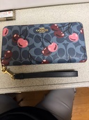 その他 コーチ （ブランドバッグ）の商品画像 - 査定依頼日：2026年4月7日 - 最高査定価格：3,000円