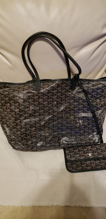 ゴヤール  （ブランドバッグ）の商品画像 - 査定依頼日：2025年12月18日 - 最高査定価格：160,000円