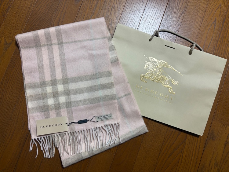 その他 バーバリー （ブランドバッグ）の商品画像 - 査定依頼日：2026年2月13日 - 最高査定価格：2,000円