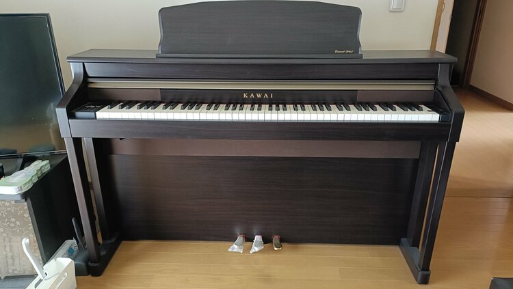 CA9500GP（ピアノ・楽器・PA機材）の商品画像 - 査定依頼日：2026年4月5日 - 最高査定価格：5,000円