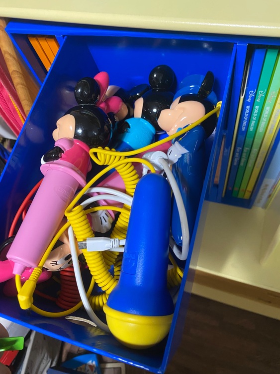 ディズニー英語システム（CD・DVD）の商品画像 - 査定依頼日：2025年9月5日 - 最高査定価格：50,000円