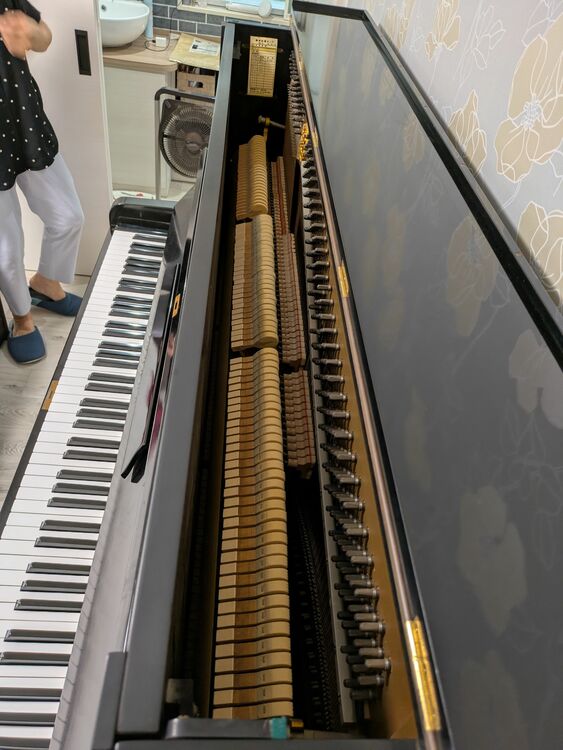 u-2 146231（ピアノ・楽器・PA機材）の商品画像 - 査定依頼日：2025年9月17日 - 最高査定価格：5,000円