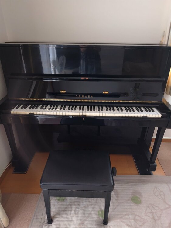 U1  H2838826（ピアノ・楽器・PA機材）の商品画像 - 査定依頼日：2026年7月3日 - 最高査定価格：30,000円