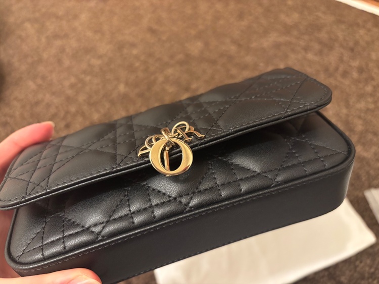 My Dior - Dior Talk フォンバッグ（ブランドバッグ）の商品画像 - 査定依頼日：2026年3月22日 - 最高査定価格：140,000円