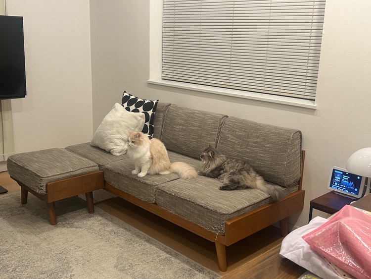 マリーエレーヌドゥタイヤック（金・貴金属）の商品画像 - 査定依頼日：2025年9月14日 - 最高査定価格：60,000円