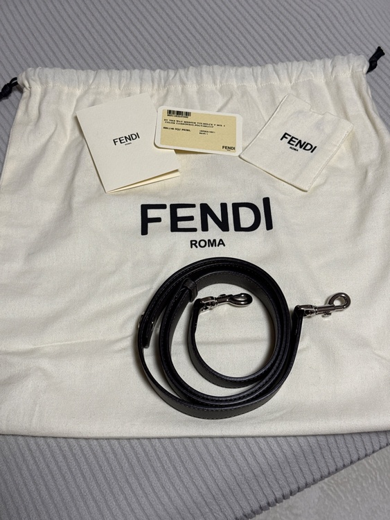 フェンディ（ブランドバッグ）の商品画像 - 査定依頼日：2026年7月16日 - 最高査定価格：100,000円