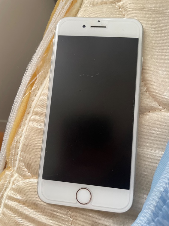 iPhone7 256GB Softbank（スマホ）の商品画像 - 査定依頼日：2025年11月1日 - 最高査定価格：4,500円