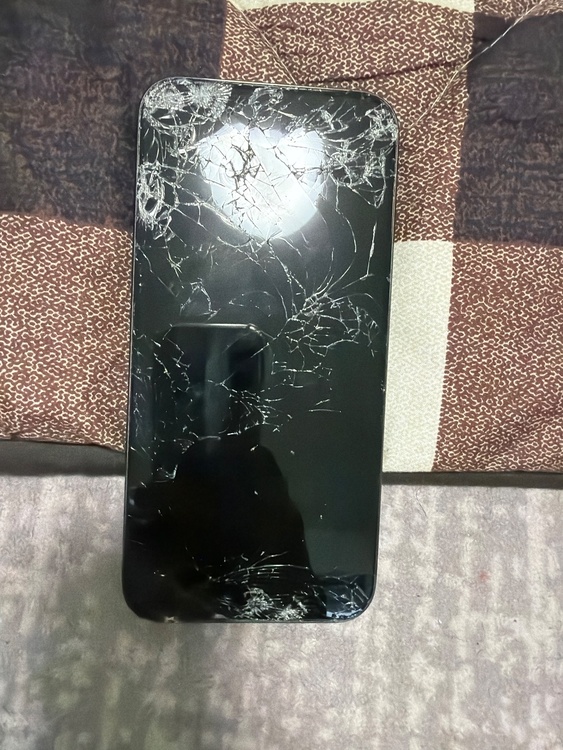 iPhone iPhone 15 Pro Max 256GB docomo（スマホ）の商品画像 - 査定依頼日：2026年5月23日 - 最高査定価格：59,000円