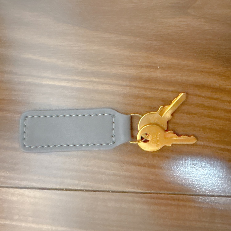 サックドジュールバック（ブランドバッグ）の商品画像 - 査定依頼日：2025年9月14日 - 最高査定価格：50,000円