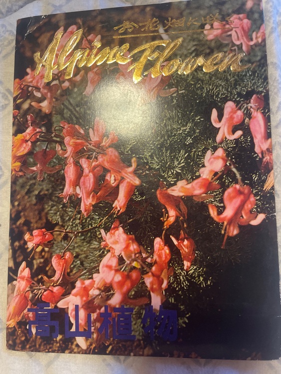 ポストカード（美術品・骨董品）の商品画像 - 査定依頼日：2025年7月28日