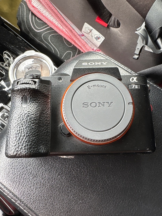 a7ii（カメラ）の商品画像 - 査定依頼日：2026年7月8日 - 最高査定価格：30,000円