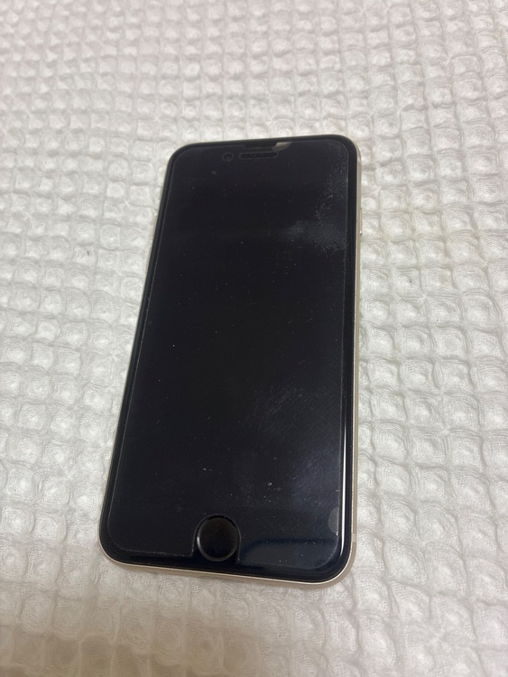 iPhone iPhone SE (第 3 世代) 256GB SIMフリー（スマホ）の商品画像 - 査定依頼日：2026年8月4日 - 最高査定価格：27,000円