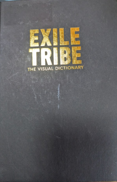EXILETRIBE　THE VISUAL DICTIONARY（古本）の商品画像 - 査定依頼日：2025年2月25日 - 最高査定価格：100円