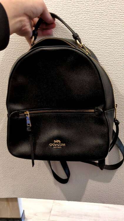 コーチ　リュック（ブランドバッグ）の商品画像 - 査定依頼日：2025年4月19日 - 最高査定価格：1,000円