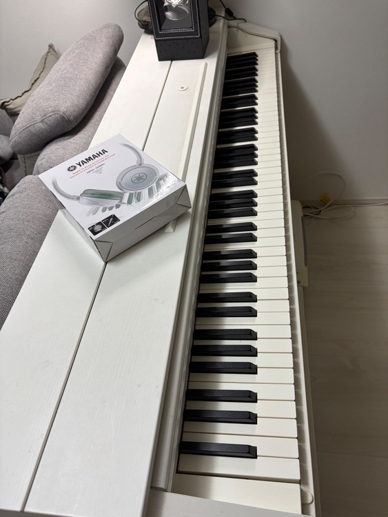 CASIO AP 460（ピアノ・楽器・PA機材）の商品画像 - 査定依頼日：2026年2月11日 - 最高査定価格：5,000円