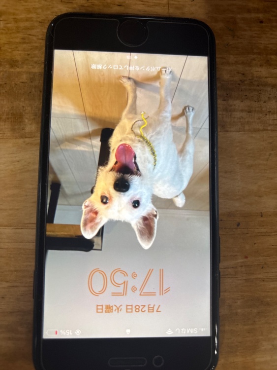 iPhoneSE（スマホ）の商品画像 - 査定依頼日：2026年7月28日 - 最高査定価格：12,000円