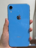 iPhoneXR 64GB au（携帯・スマホ）の商品画像 - 美品 - 査定完了日：2025.11.24 - 最高査定価格：18,000円