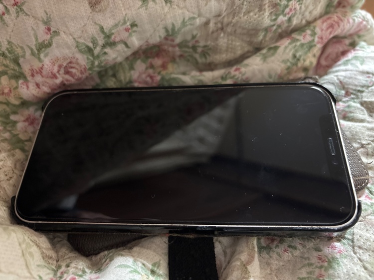 iPhone 12 256GB SIMフリー（スマホ）の商品画像 - 査定依頼日：2026年2月8日 - 最高査定価格：26,000円