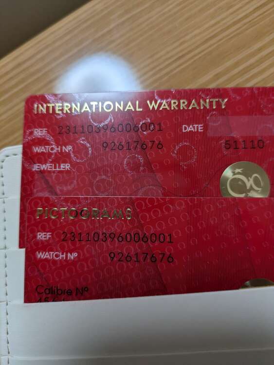 シーマスターアクアテラ（高級時計）の商品画像 - 査定依頼日：2025年5月2日 - 最高査定価格：300,000円