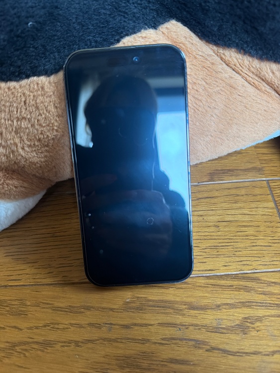 iPhone（スマホ）の商品画像 - 査定依頼日：2026年3月18日 - 最高査定価格：52,000円