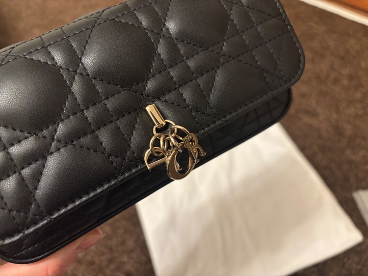 My Dior - Dior Talk フォンバッグ（ブランドバッグ）の商品画像 - 査定依頼日：2026年3月22日 - 最高査定価格：140,000円