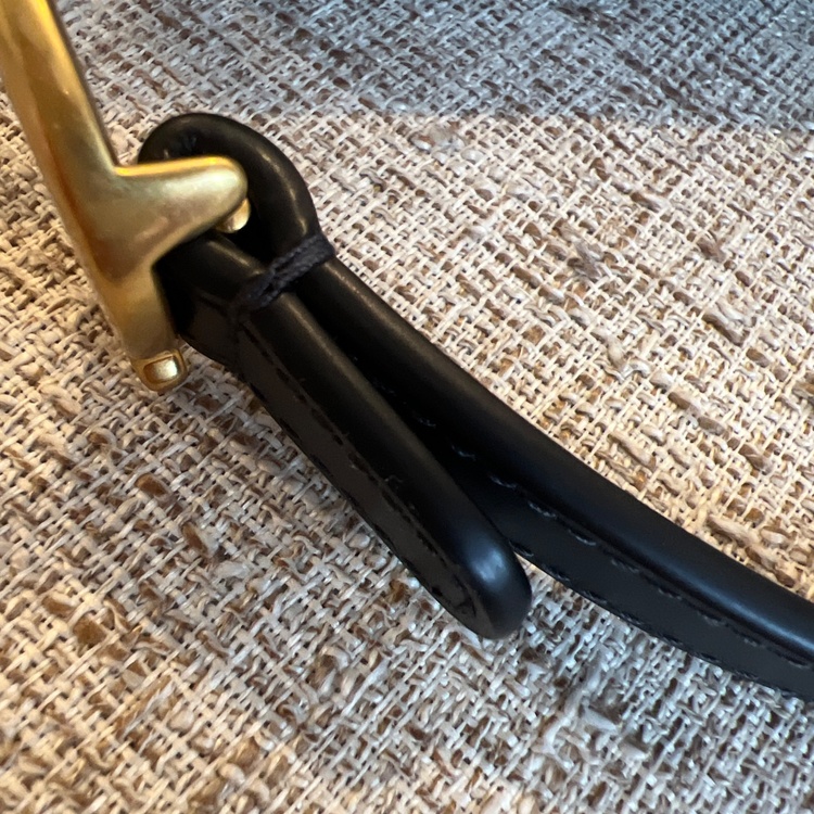 サドルバッグ（ブランドバッグ）の商品画像 - 査定依頼日：2026年4月7日 - 最高査定価格：260,000円