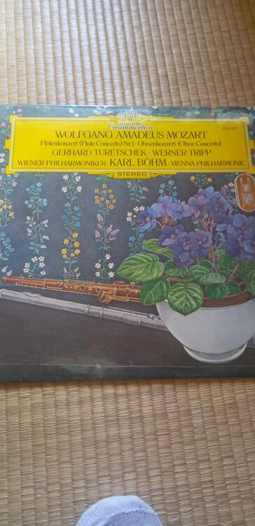 モーツァルト　フルート協奏曲ほか　ベーム　ウィーンフィル　ドイツ盤　2530 5（レコード）の商品画像 - 査定依頼日：2025年10月17日 - 最高査定価格：1,000円