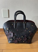 COACH  グラブタン レザー ダコタ サッチェル  （ブランドバッグ）の商品画像 - 査定依頼日：2026年3月1日 - 最高査定価格：20,000円