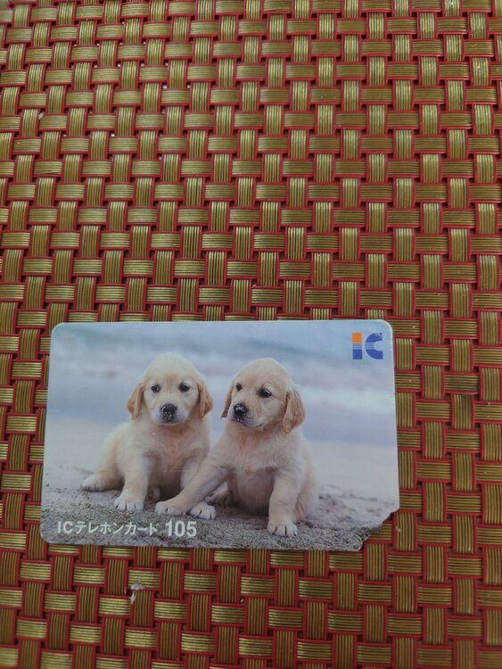 ICカード（チケット・金券）の商品画像 - 査定依頼日：2026年3月27日 - 最高査定価格：100,000円