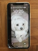 iPhone11 64GB（イエロー） MWLW2J（スマホ）の商品画像 - 査定依頼日：2021年5月4日 - 最高査定価格：30,000円