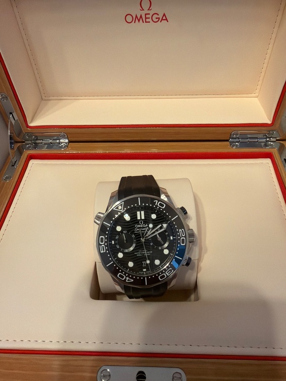 オメガ シーマスター 2103244510100（高級時計）の商品画像 - 査定依頼日：2026年3月22日 - 最高査定価格：1,080,000円