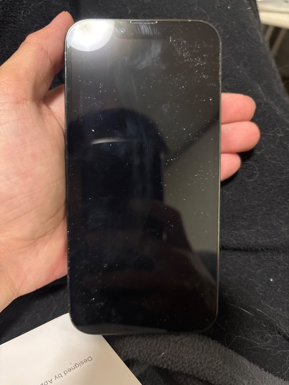 iPhone 13 Pro 256GB Softbank（スマホ）の商品画像 - 査定依頼日：2026年2月22日 - 最高査定価格：31,000円