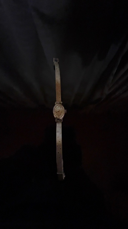 WG14K（高級時計）の商品画像 - 査定依頼日：2026年1月26日 - 最高査定価格：60,000円