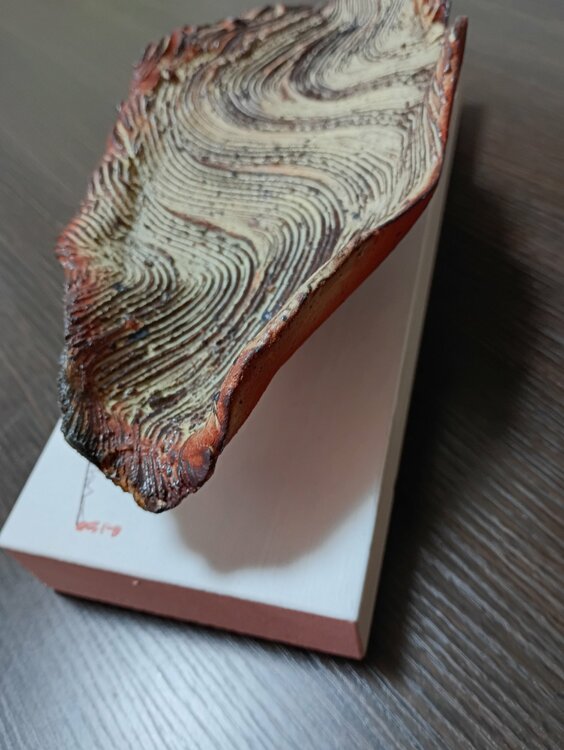 わからない（美術品・骨董品）の商品画像 - 査定依頼日：2026年1月27日 - 最高査定価格：2,000円