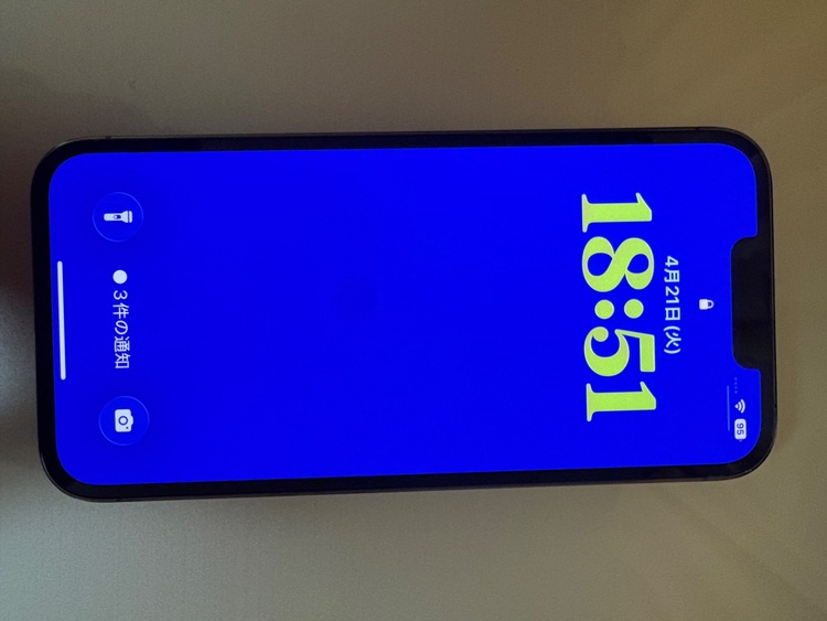 iPhone 13 Pro 256GB Softbank（スマホ）の商品画像 - 査定依頼日：2026年4月21日 - 最高査定価格：49,000円